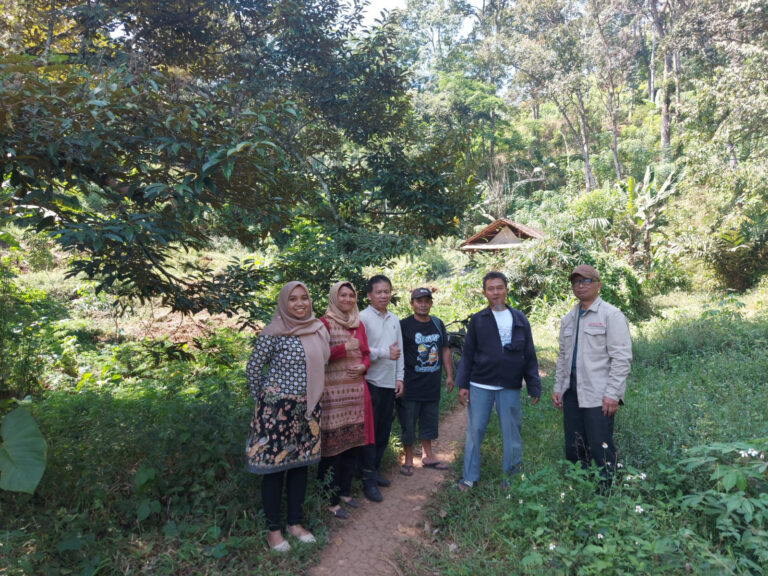 Survei Taro dalam Rangka Kerjasama UMM dengan SCII Hub Singapore